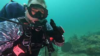 Solo Divehollywood Beachlobster Huntpiranha Dpv. 101620