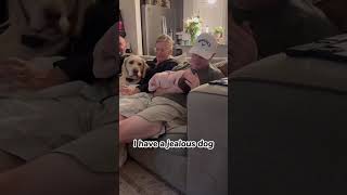 Dogs Love Weird Snacks A Lot