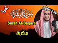 سورة البقرة كاملة طاردة للشياطين بإذن الله مكررة 5 مرات علاء عقل مكتوبة AlBaqarah By Ala Aqel 
