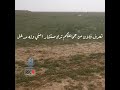 تكفون فكونا من لهاث كستم متعال م ما غير يرقى ويحول