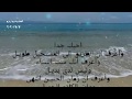 حالات واتس قصيدة أحبك جدا للشاعر نزار الانى مع موسيقي هادئه mp3