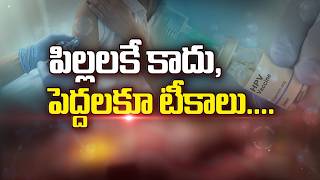 పిల్లలకే కాదు, పెద్దలకూ టీకాలు | Vaccines Are Not Just for Children, but for Adults Too | Sukhibhava
