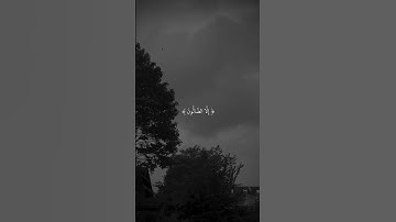 أَترُك أثر طيبًا تؤجَر عليه 🤍 #قرآن #quran #اكسبلور #explore #قران_كريم #سورة_الحجر #اسلام_صبحي