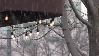Shoppers turn out to support local Missoula businesses