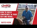 How to build confidence in your cutting horse