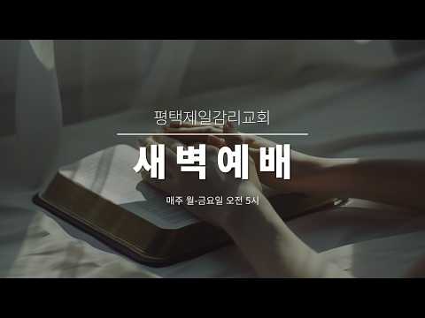 2026.05.21 평택제일감리교회 새벽예배