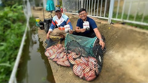 Câu Đài | Câu cá Diêu Hồng tại trang trại Thế Anh Vân Anh - Bình Phước
