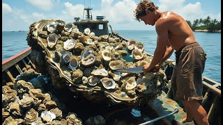 American fishermen produce millions of tons of oysters this way - big oyster fishing at sea