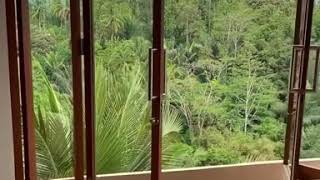 منتجع (Padma Resort Ubud)