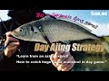 Japanese ajing gamelearn from an azing expert how to catch huge horse mackerel in day game