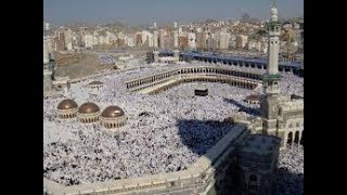 Hajj Tasreeh 2019 : How To Apply Online screenshot 2