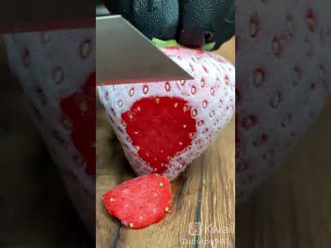 اغرب فراوله 