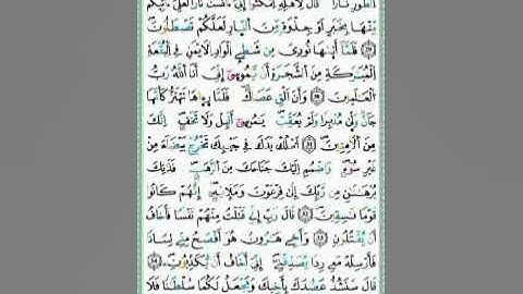 صفحة/٣٨٩/ رواية ورش عن نافع/ سورة القصص/ ابو النور الهادي
