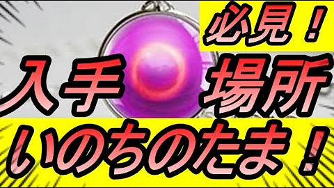 ポケモン剣盾 命の珠