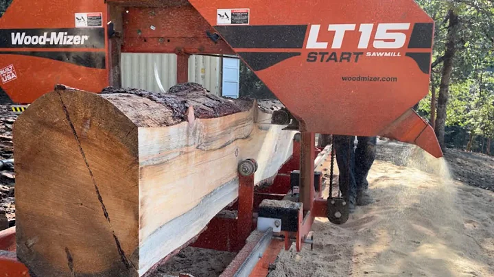 Big Beautiful Rustic Sugar Pine Beam or Mantle on Woodmizer LT15 Sawmill. Blue Stained Pine