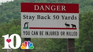 Experts give tips on staying Bearwise this summer