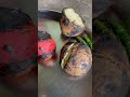 Aloo Chokha Banaya #vlog