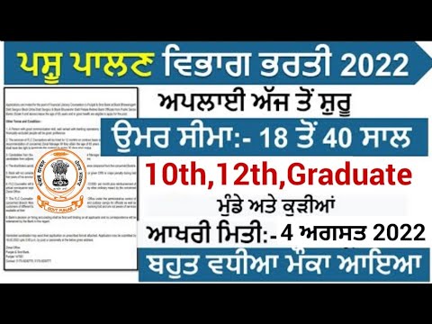 Punjab Animal Husbandry Department Recruitment 2022 |Punjab Latest Job  Updates 2022 | Meet Academy - YouTube
