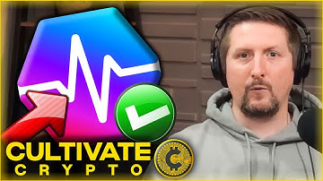 Four Year Cycles Effects On PULSECHAIN