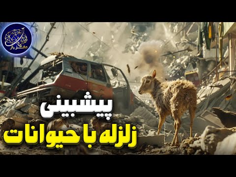 تصویری: آیا ژاپن می تواند زلزله را پیش بینی کند؟