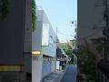 How To Find Tokyo's Most Hidden Watch Store #watches #japan #tokyo #vintagewatches