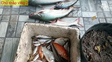 Chuyến đi câu cá đầy thú vị trên sông nước miền tây