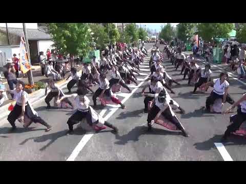 香川大学よさこい連 ”風華” 銭形よさこい2017 柳町会場２
