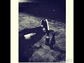 صاصا دنيا ماشية وهي رحلة حالات واتس