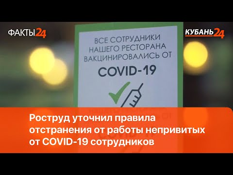 Роструд уточнил правила отстранения от работы непривитых от COVID-19 сотрудников