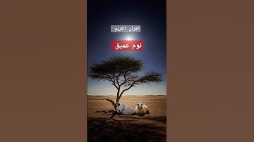 سورة الحشر بصوت جميل اسلام صبحي.  #اكسبلور  #القرآن_الكريم #تلاوة_خاشعة #المصحف #Quran ##tilawat #