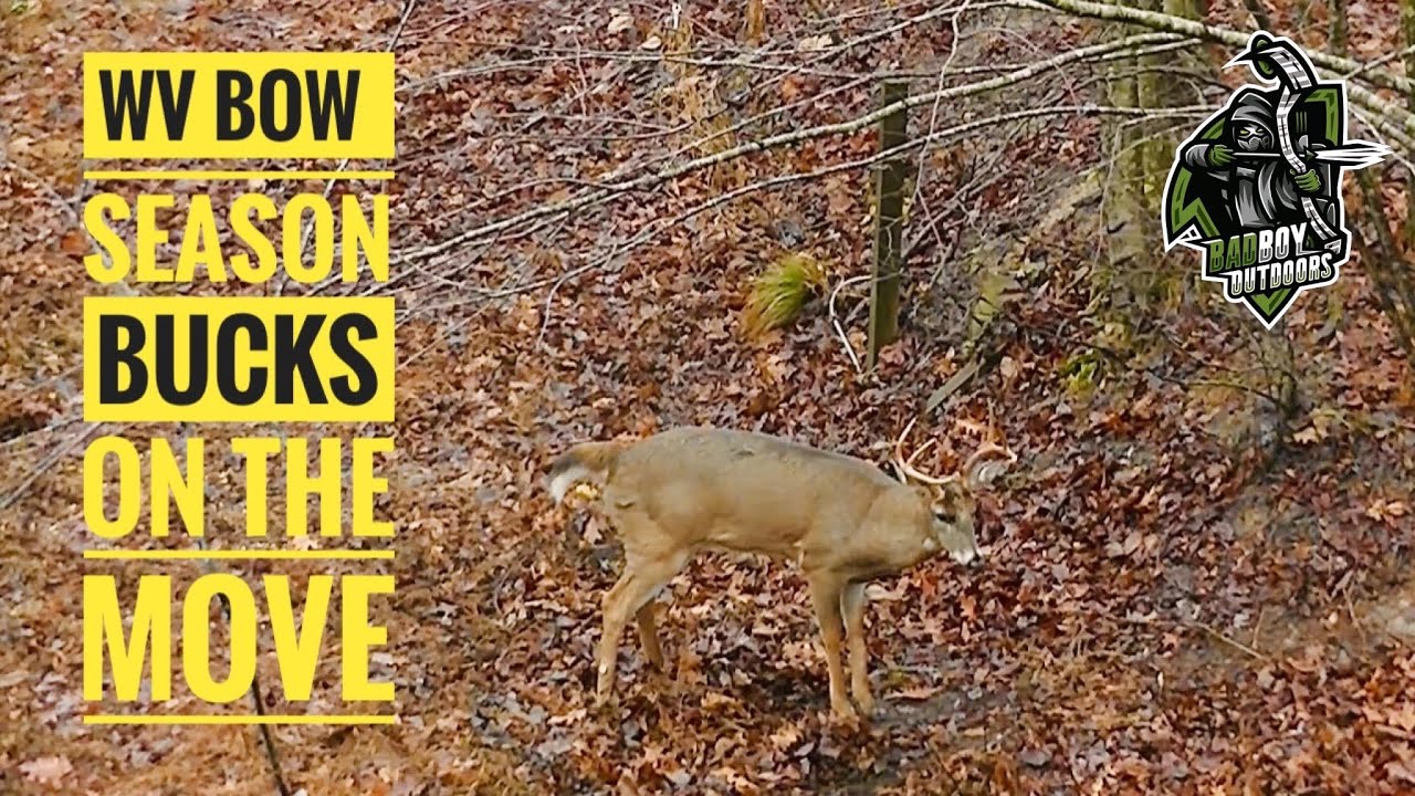 Wv Bow Season 2022 BUCKS EVERYWHERE!! YouTube