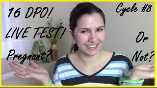 Live Pregnancy Test! 16 DPO Results of Cycle #8 TTC #1