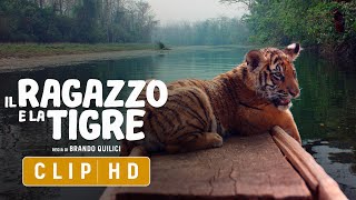 Il Ragazzo e La Tigre | CLIP 5 HD | Adesso al cinema