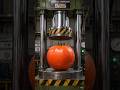 Big Tomato Vs Compressor😮