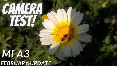 Mi A3 February 1.45GB Update Camera Test 🔥