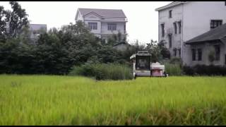 VID 20150805 WA0006