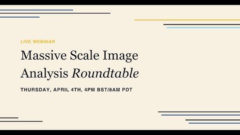 Massive Scale Image Analysis Roundtable