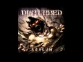 Disturbed warrior asylum album track 4