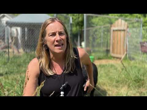 J.T. Williams Secondary Montessori community is excited about the new barn design at Marie G. Davis