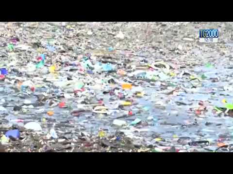 Video: L'Unione Europea Vieta La Plastica Monouso