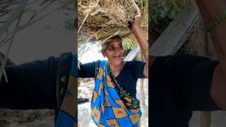 Kahan E Mamta Bhare Din