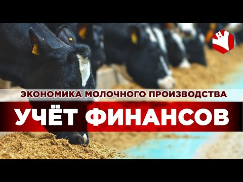 Учет финансов в молочном животноводстве | Экономика молочного животноводства