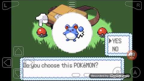 Pokemon Emerald Randomizer nuzlocke:Part 1( a somewhat bad start )