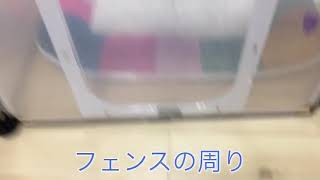 ココアがマーキングする所