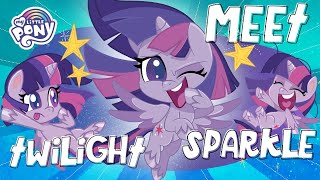My Little Pony  NEW  Meet Twilight Sparkle in Pony Life | MLP