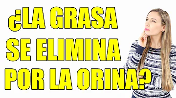 ¿Pierdes grasa al orinar?