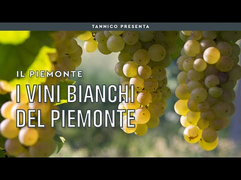 Video: Ti raffreddi il vino moscato?