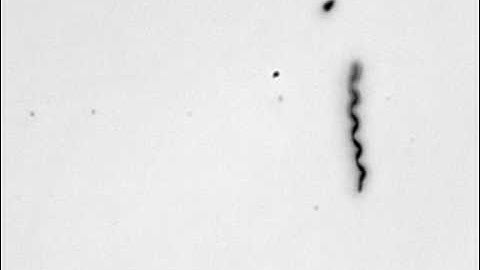 Helical Swimming Microrobots