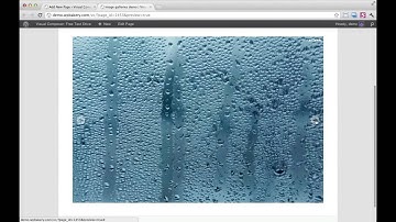 Visual Composer 3: Image galleries in action