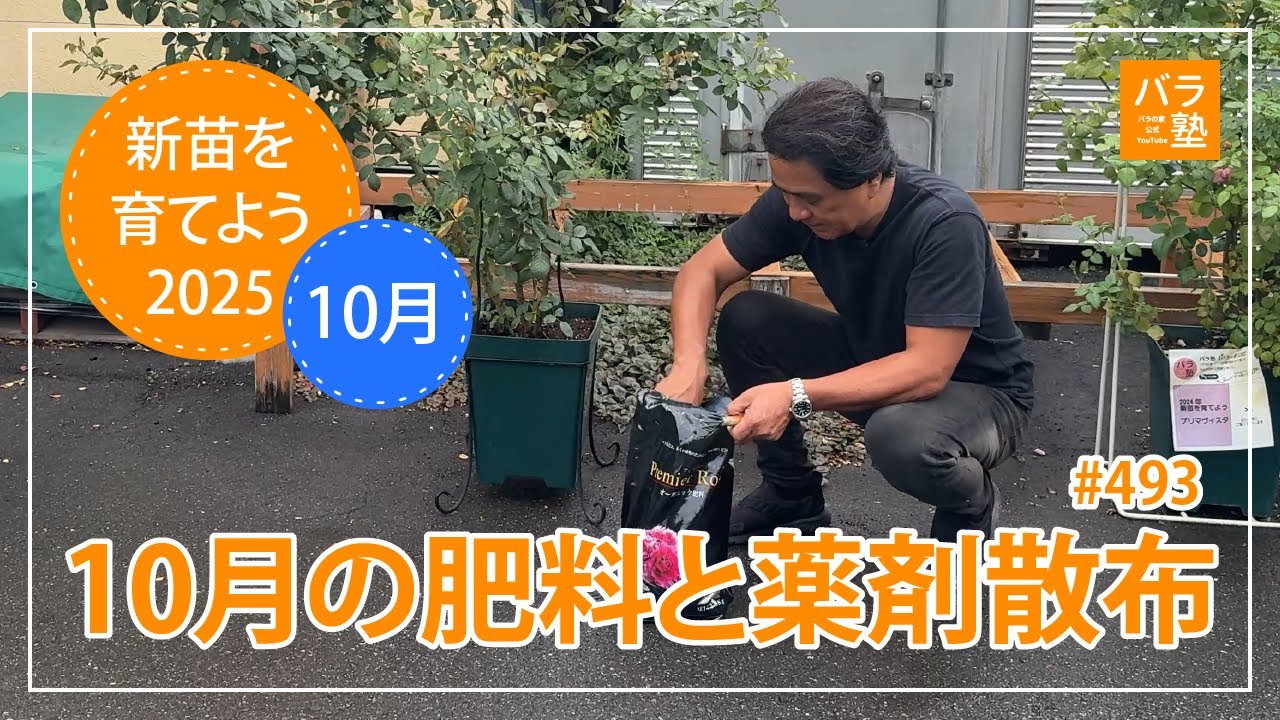 493 Let's grow new seedlings 2025 [Licht] Fertilizing and spraying